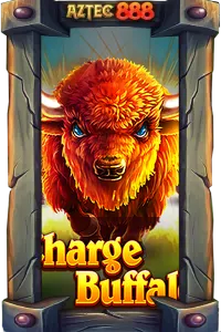 Charge Buffalo