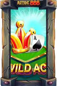 WILD ACE