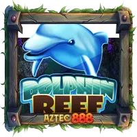 Dolphin Reef
