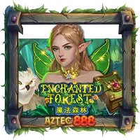 Enchanted Forest