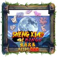 Sheng Xiao Bingo