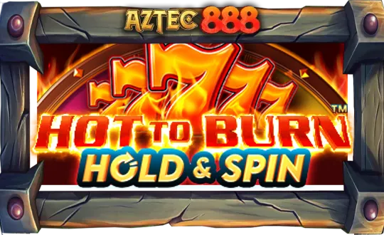 Hot to Burn® Hold and Spin