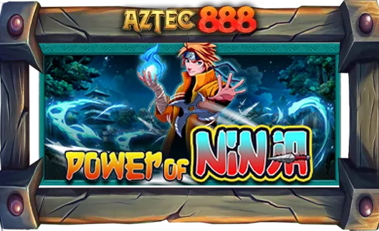 Power of Ninja