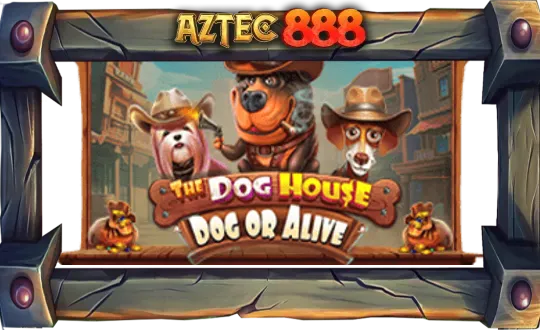 The Dog House – Dog or Alive