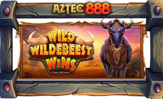 Wild Wildebeest Wins