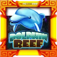 Dolphin Reef