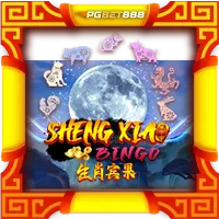 Sheng Xiao Bingo