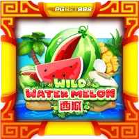 Wild Watermelon