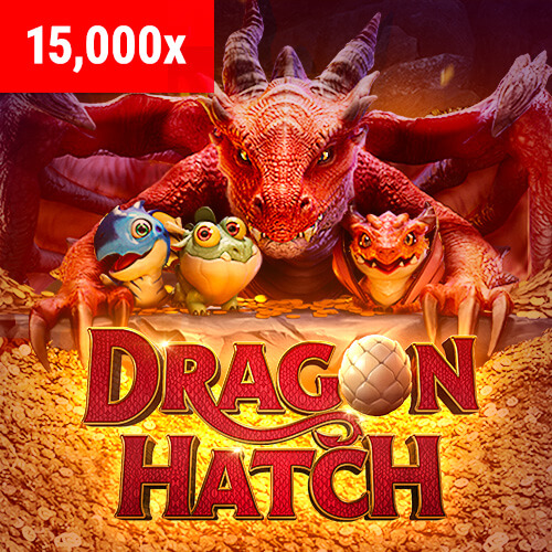 dragon hatch